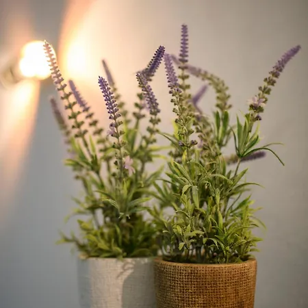 Afonso's House Geres I Дом отдыха Брага