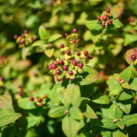 Дом отдыха Afonso's House Geres I Брага