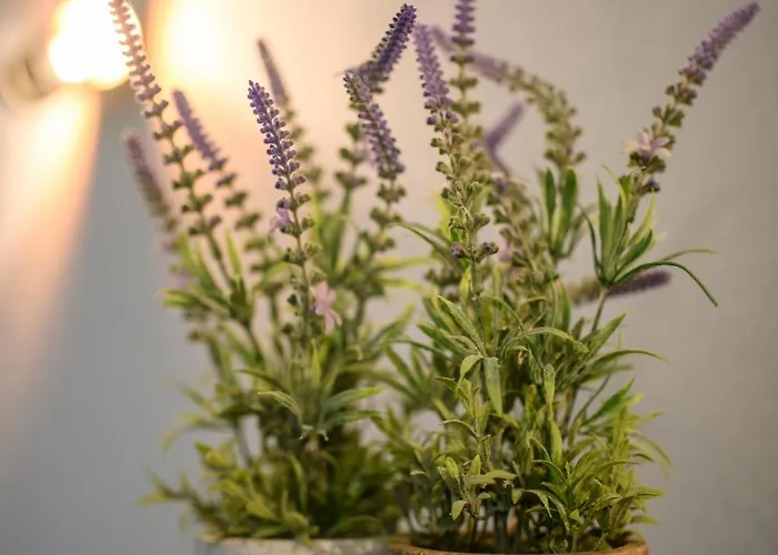 Afonso's House Geres I Feriehus Braga